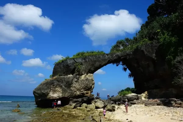 Raj Sekar - Full Package - Activity & Sightseeing
