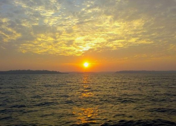Avis Island