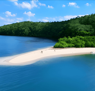 6 Nights & Days Andaman Packages - Activity & Sightseeing