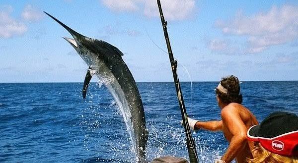 Game Fishing