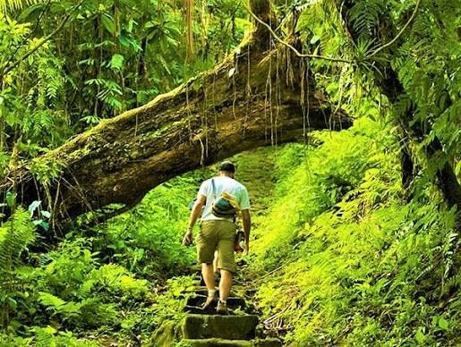 Trekking