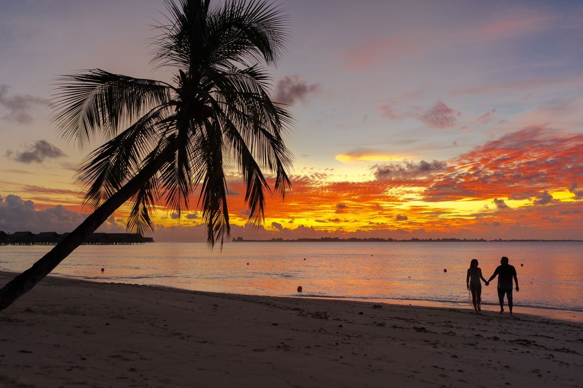6 Nights 7 Days Honeymoon Packages